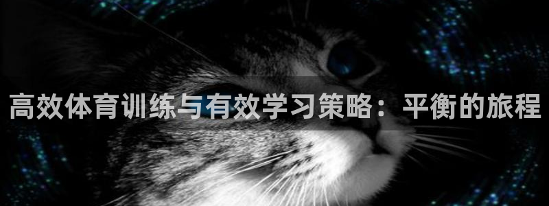 搜球体育app官方版下载：高效体育训练与有效学习策略：平衡的旅程