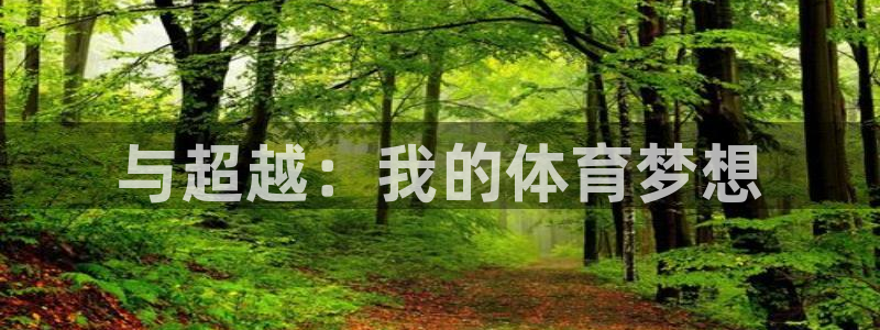 搜球体育下载：与超越：我的体育梦想