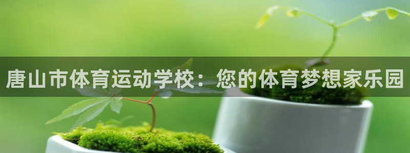 搜球体育下载：唐山市体育运动学校：您的体育梦想家乐园
