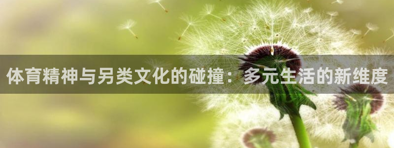 搜球体育app官方版下载：体育精神与另类文化的碰撞：多元生活的新维度