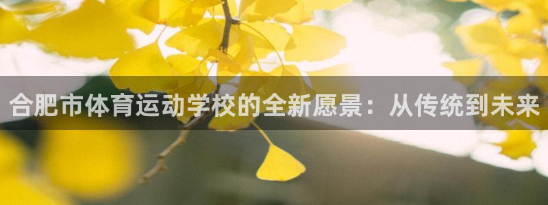 搜球体育NBA：合肥市体育运动学校的全新愿景：从传统到未来