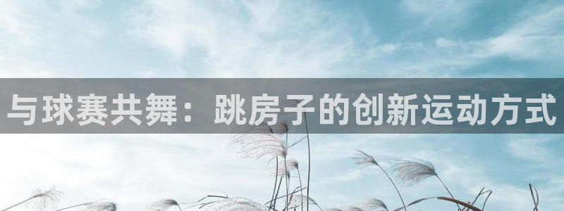 搜球体育官网首页：与球赛共舞：跳房子的创新运动方式