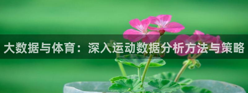 搜球体育app官方：大数据与体育：深入运动数据分析方法与策略