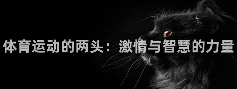 搜球体育直播app：体育运动的两头：激情与智慧的力量
