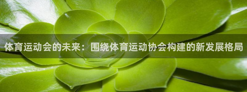 搜球体育平台：体育运动会的未来：围绕体育运动协会构建的新发展格局